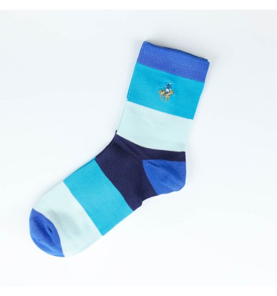 Vyriškos kojinės PIER POLO "Dryžuotos" (mėlyna)